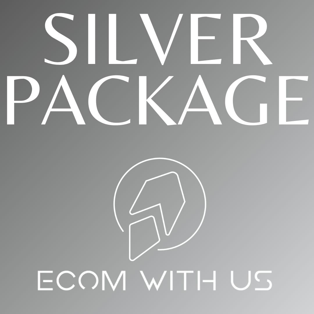 SILVER WEBSITE SERVICE PACKAGE